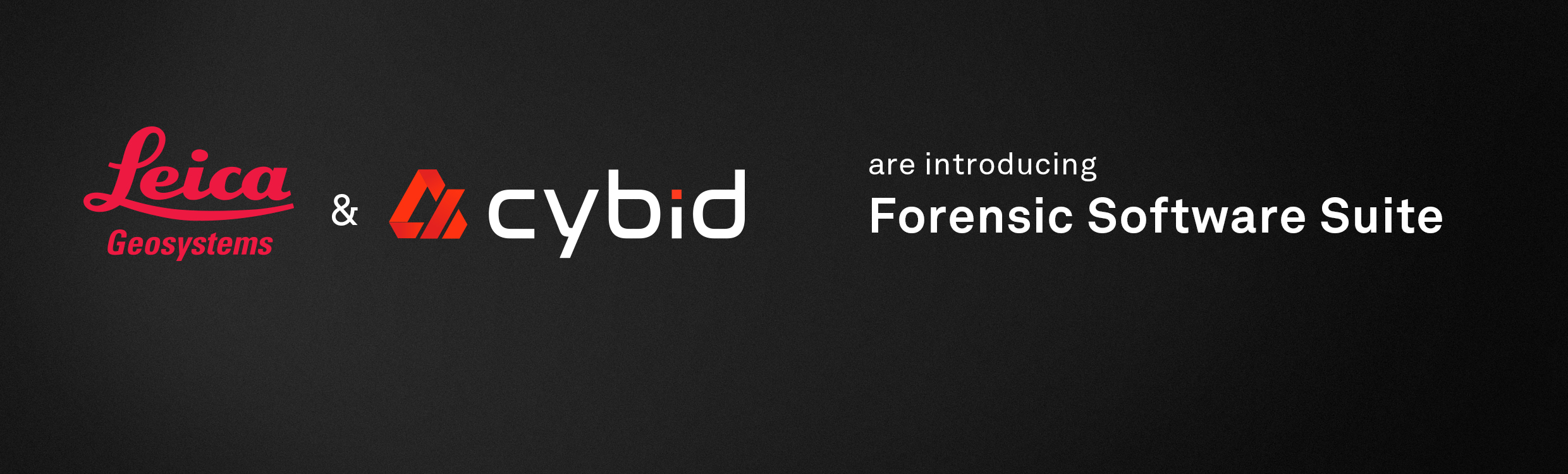 lgs-cybid-2480x750